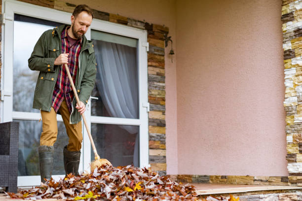 Best Trash Removal Near Me  in Oak View, CA