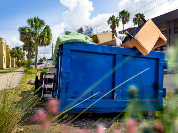 Best Office Junk Removal  in Oak View, CA